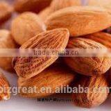 Roasted Salted Apricot Kernels Without Shell for Hot Sale