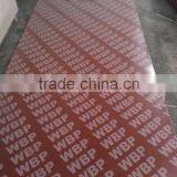 18mm Concrete Formwork Plywood thumbnail-3