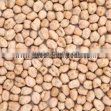 Protein Chickpeas Supplier thumbnail-2