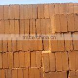 Coco Peat/pith Products thumbnail-2