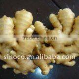 Air Dry Ginger (150g) thumbnail-1