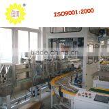 Case Packing Line for Beer