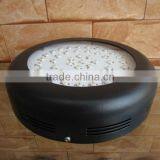 Full Spectrum Led Grow Lights