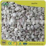 Natural Zeolite Powder/pellet for Water Treatment thumbnail-1
