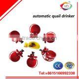 Drinker for Quails and Pigeon