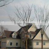 Beam Prefab Steel House thumbnail-1