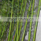 SJ Plastic Realistic Artificial/leek Arrangement of Bamboo With Leaves,bamboo Poles thumbnail-3