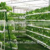 Hydroponic Seeding Growing Sponge for Vegetables thumbnail-6