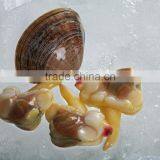 IQF Surrf Clam/short Necked Clam Meat thumbnail-2