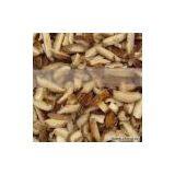 Sell Shiitake Mushroom Slice thumbnail-1