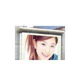 P20 LED Display