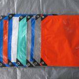 Linyi Shangheng Plastics Co.,ltd company overview - view 1 thumbnail