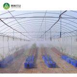 Low Cost Plastic Wiggle Wire Agriculture Solar Greenhouse Tunnel thumbnail-2