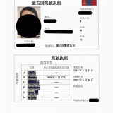 Driving License Translation in Qingdao Shandong China, Driver License Translation in Qingdao Shandong China