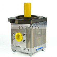Germany Eckerle 890-EI-0250/0320/0400/0500 Injection Molding Machine Hydraulic Gear Pump 890-EI-0320-RK2-C313 thumbnail-3