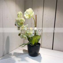 Amazon Hot Sale Beautiful Decorative Realistic Artificial Plastic Fake Orchid Plants for Restaurants thumbnail-4