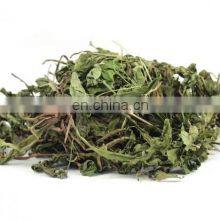 Pure Dried Dandelion Leaves for Herbal Tea/ Organic Pure Dried Dandelion Leaves From Vietnam thumbnail-4