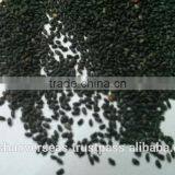 Tukmaria thumbnail-5