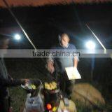 Thermoelectric Generator Stove for Remote Area Resident