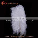 2016 cheap fluffy white ostrich feather 22 inch for sale