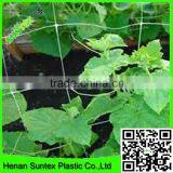 Tomato Supporting Netting / Plastic Plant Climbing Net thumbnail-2