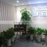 Shenzhen E-Bon Industrial Co., Ltd. company overview - view 2 thumbnail