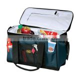 Factory customized peva liner insulated cooler bags                        
                                                Quality Choice