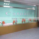 Guangzhou Carnail Electronic Technology Co., Ltd. company overview - view 1 thumbnail