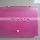 Zipper Bag,school Design A4 Zipper Plastic Bag thumbnail-5