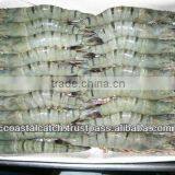 Headless Frozen Black Tiger Shrimp