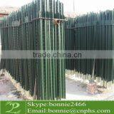 Green Paint Spade T Post