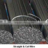 China Construction Material Galvanized Straight Cut Tie Wire/Wire Cut