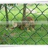 PVC Coated Chain Link Fence Rolls ;chain Link Mesh