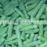 Iqf Frozen Green Beans thumbnail-2