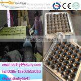 reciprocating resycle system used paper egg tray machine