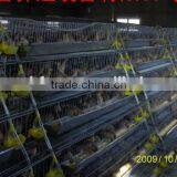 6 Tires 400 Automatic Quails Cage One Side/6 Tiers Two Sides 800 Quails Cages thumbnail-4