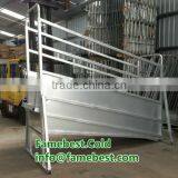 3.5 Metre Sheep Stock Ramp With Walk Platform Australian Made Galvanized Ramps thumbnail-2