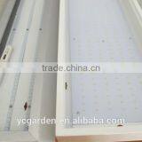 Indoor Tridonic Driver 300x1200mm 600X600mm LED Panel Light thumbnail-5