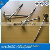Zinc Galvanized Roofing Nails / Cheap Price Iron Wire Nails thumbnail-1