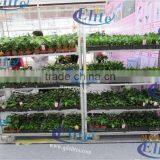 A37 Vegetable Seedings Plant Trolley Container thumbnail-1
