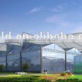 Modern Appearance Used Greenhouse Sale/greenhouses for Tomatoes for Sale/commercial Greenhouse for Sale thumbnail-3