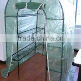 Green House thumbnail-1