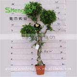 SJLJ013291 Guangdong Factory Wholesale Artificial Topiary Tree / Artificial Bonsai / Artificial Plant thumbnail-4
