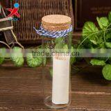 CLEAR CYLINDER BOROSILICATE GLASS MESSAGE BOTTLE WITH CORK LID