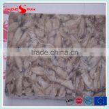 BQF Frozen Baby Loligo Squid thumbnail-4