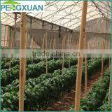 Custom Wholesale Tapered End Garden Wooden Plant Support Stick