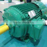 Cast Iron IE1 Three Phase Electric Motor thumbnail-2