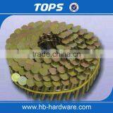 China Aluminum Coil Roofing Nails thumbnail-3