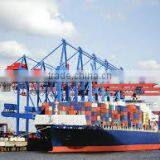 Cheaper Sea Shipping Freight From HOCHIMINH, DANANG, HAIPHONG to Barcelona Port , Spain thumbnail-1