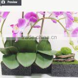 Artificial Table Orchids Customized With Foam Base thumbnail-6